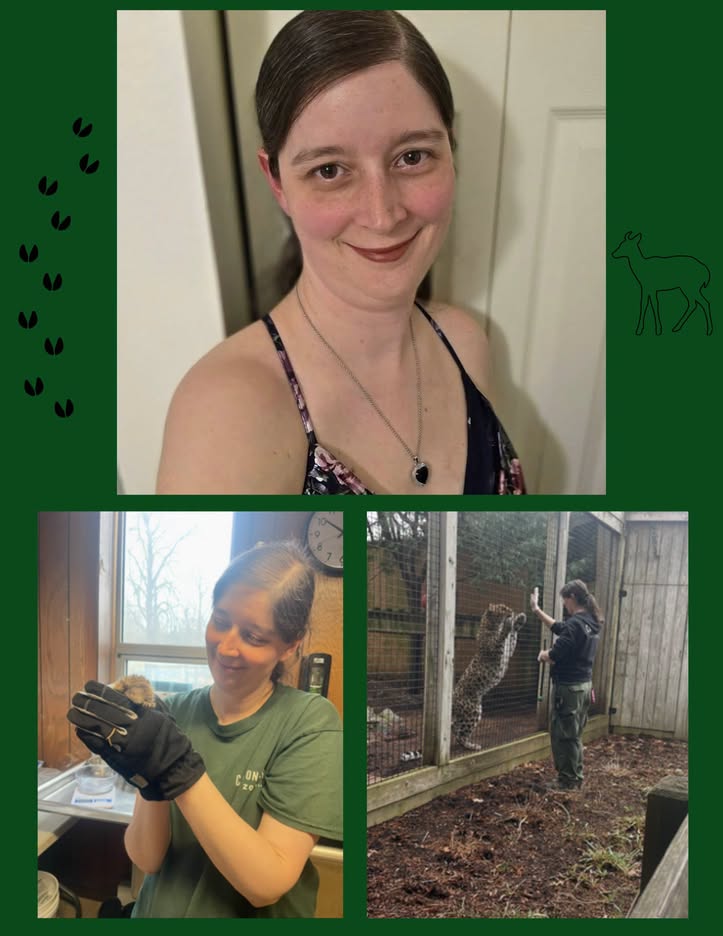 Kayla Raschke, Native Of St. George Obituary-Death